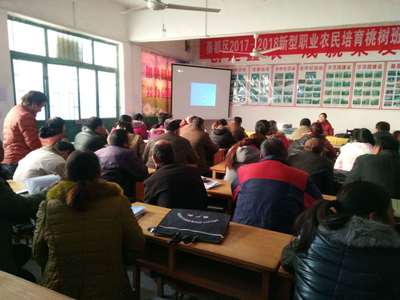 马庄鑫农果友党支部服务果农 培训技术做优产业